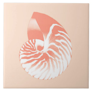 Carreau Coquille de Nautilus - orange et blanc de corail