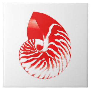 Carreau Coquille de Nautilus - rouge foncé et blanche