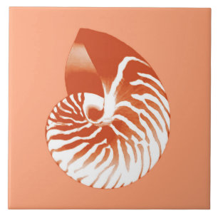 Carreau Coquille de Nautilus - terre cuite et blanche