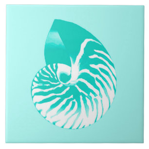 Carreau Coquille de Nautilus - turquoise, aqua et blanc