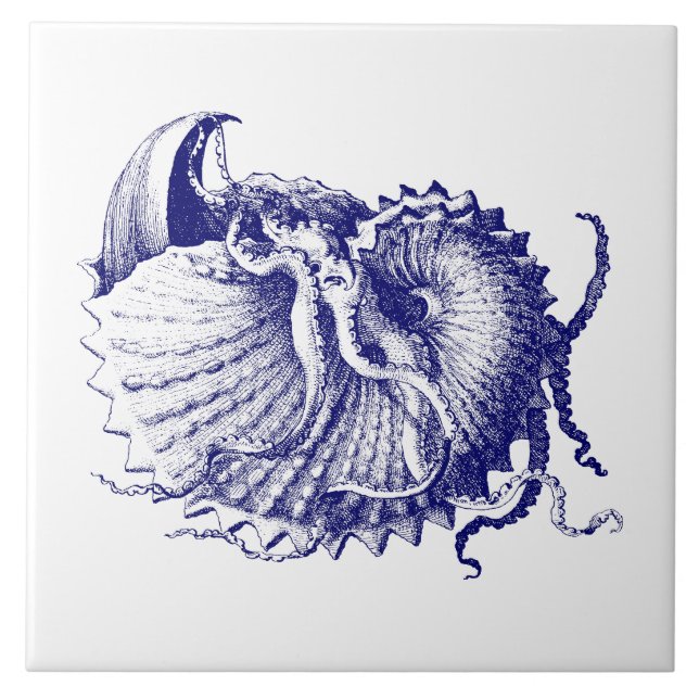 Carreau Coquille marine Nautilus Bleu et blanc (Devant)