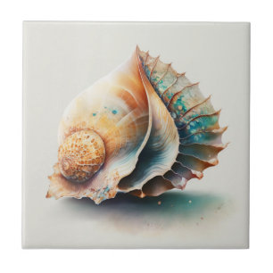 Carreau Coquille Queen Conch, Aquarelle, Carrelage en céra
