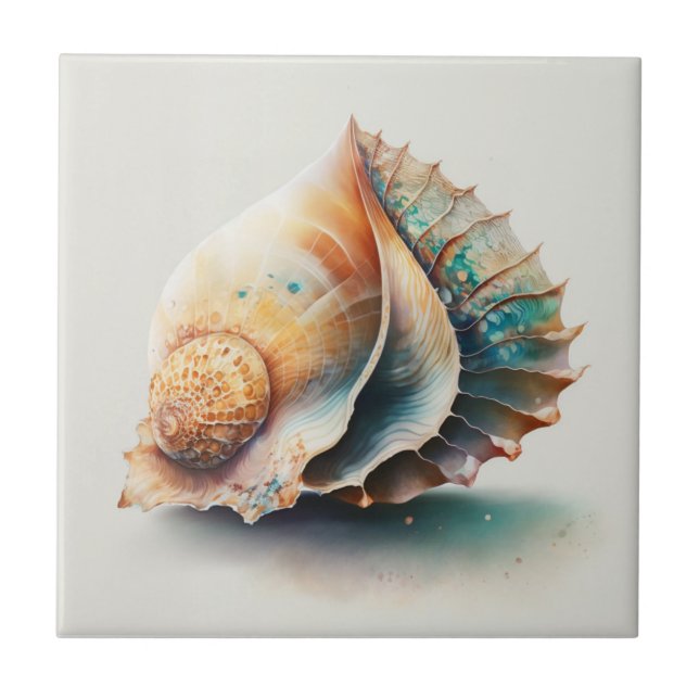 Carreau Coquille Queen Conch, Aquarelle, Carrelage en céra (Devant)