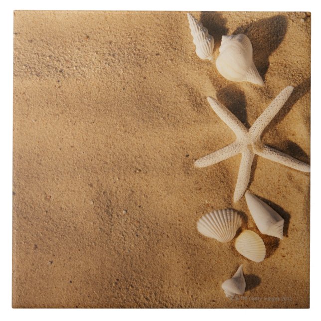 Carreau Coquilles de mer sur le sable (Devant)