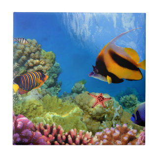 Carreau Corail coloré et poissons tropicaux