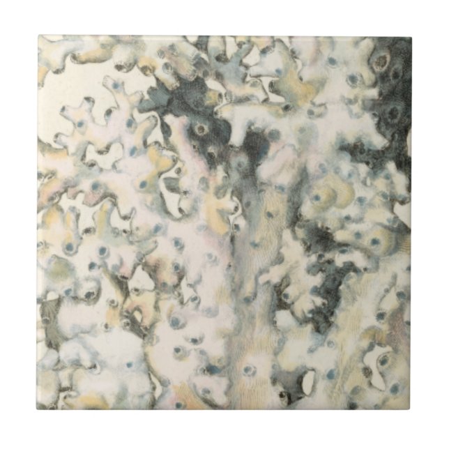 Carreau Corail d'aquarelle antique (Devant)