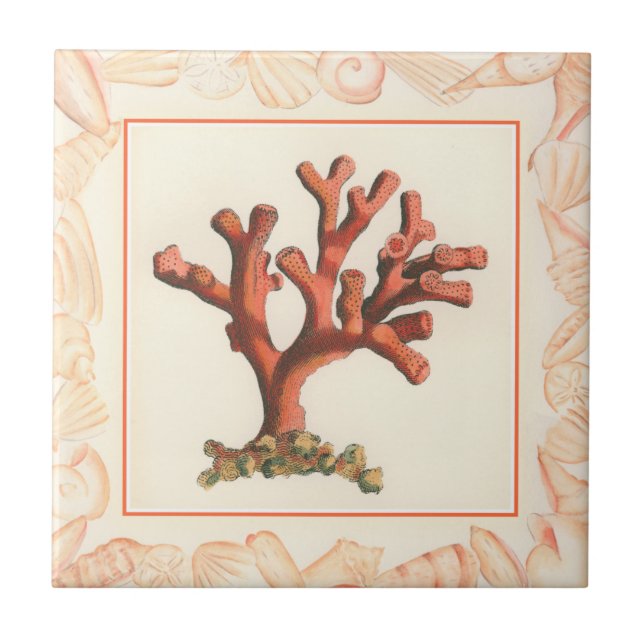 Carreau Corail rouge avec bordure conique (Devant)