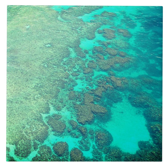 Carreau Coral reef céramique turquoise eau de l'océan (Devant)