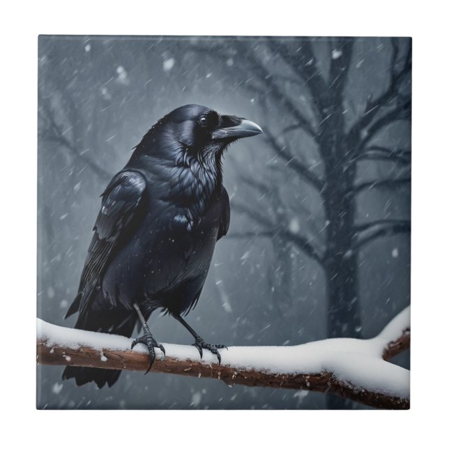 Carreau Corbeau noir foncé (Devant)