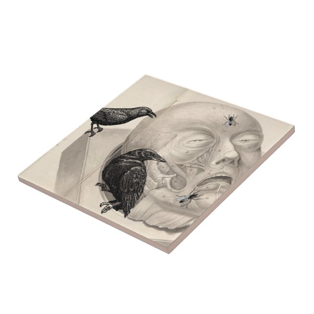 Carreau Corbeaux et cadavres (Côté)