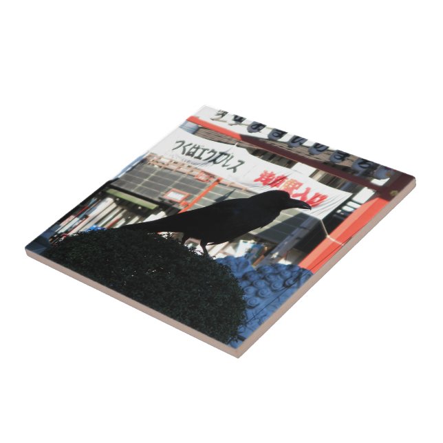 Carreau Corneille japonaise (Côté)