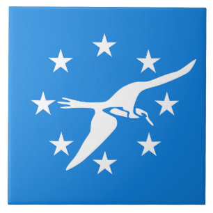 Carreau Corpus Christi Ville Drapeau