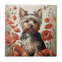 Corte Yorkshire Terrier Botanique Poppies rouges