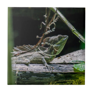 Carreau Costa Rica - Homme Émeraude Basilisque Lizard