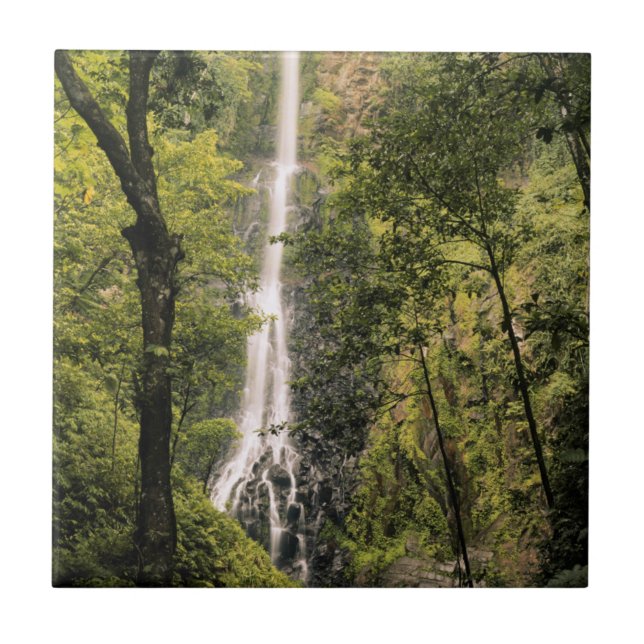 Carreau Costa Rica, île Cocos, cascade de Wafer Bay (Devant)