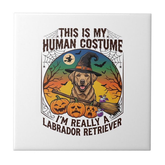 Carreau Costume Humain Labrador Retriever Sorcière d'Hallo (Devant)