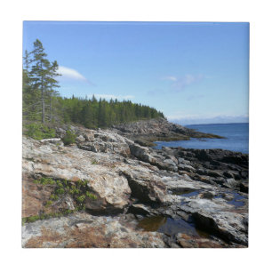 Carreau Côte de l'île Bar dans le parc national d'Acadia