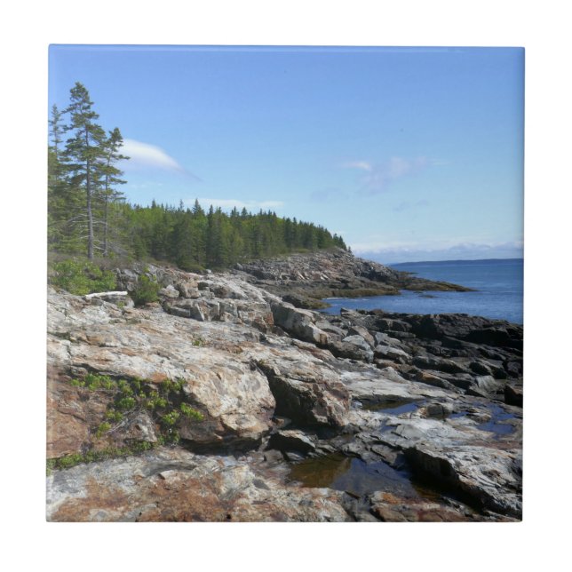Carreau Côte de l'île Bar dans le parc national d'Acadia (Devant)