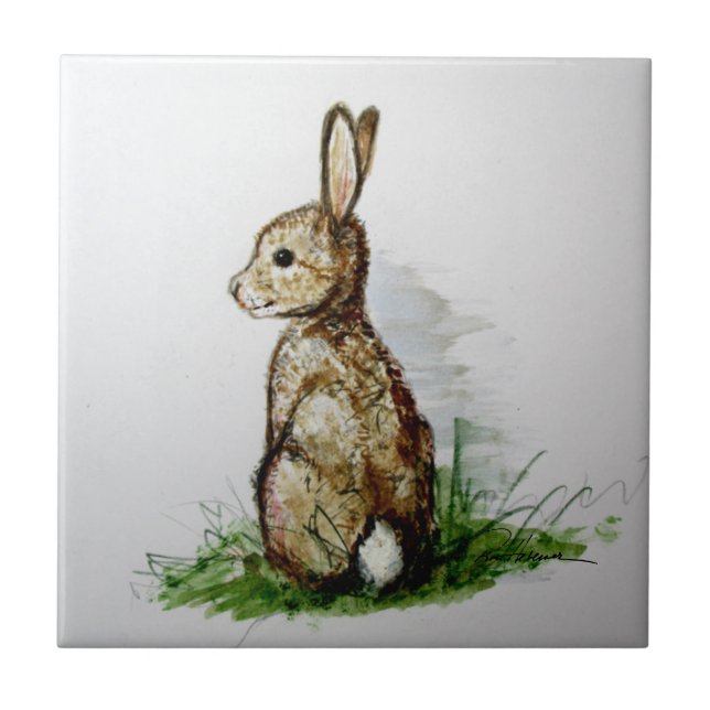 Carreau Cottontail. . . (Devant)