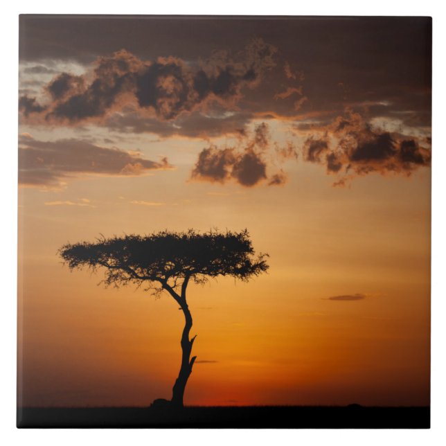 Carreau Coucher de soleil à Masai Mara (Devant)