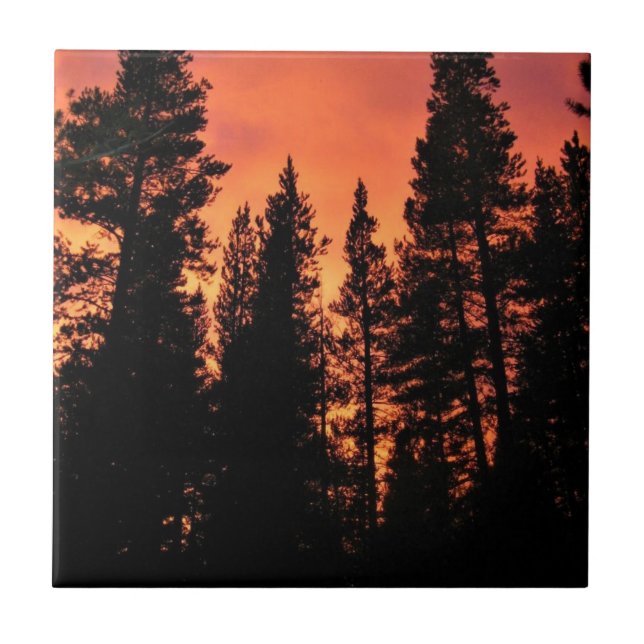 Carreau Coucher de soleil à Tuolumne Meadows, Yosemite, CA (Devant)