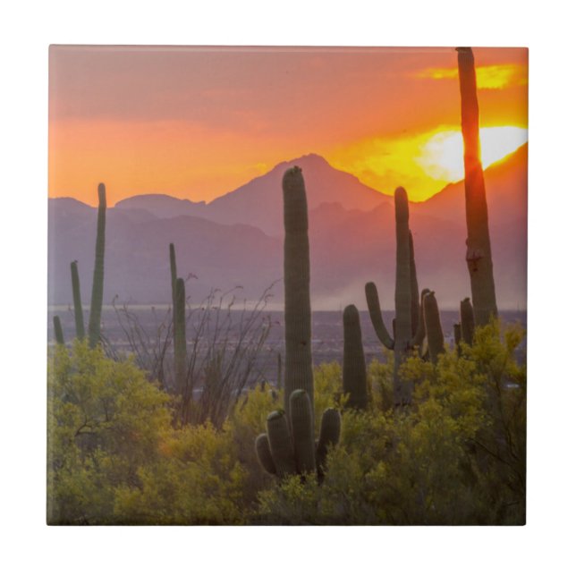 Carreau Coucher de soleil de cactus du désert, Arizona (Devant)