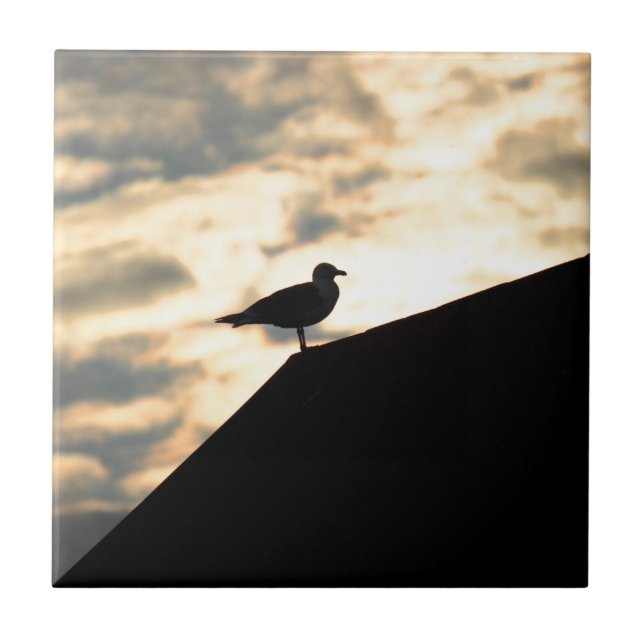 Carreau Coucher de soleil de Sea Gull (Devant)