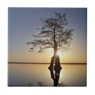 Carreau Coucher de soleil derrière un arbre
