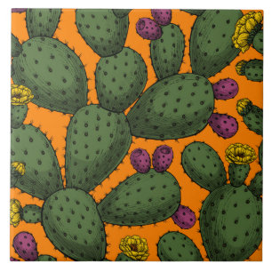 Carreau coucher de soleil du désert