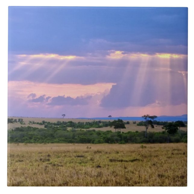 Carreau Coucher de soleil sur le Masai Mara. (Devant)
