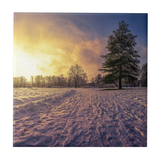 Carreau Coucher de soleil sur le parc d'hiver enneigé (Devant)