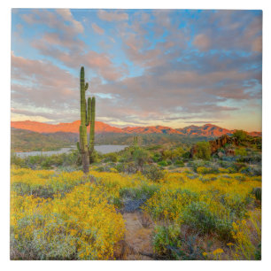 Carreau Coucher de soleil sur paysage désertique