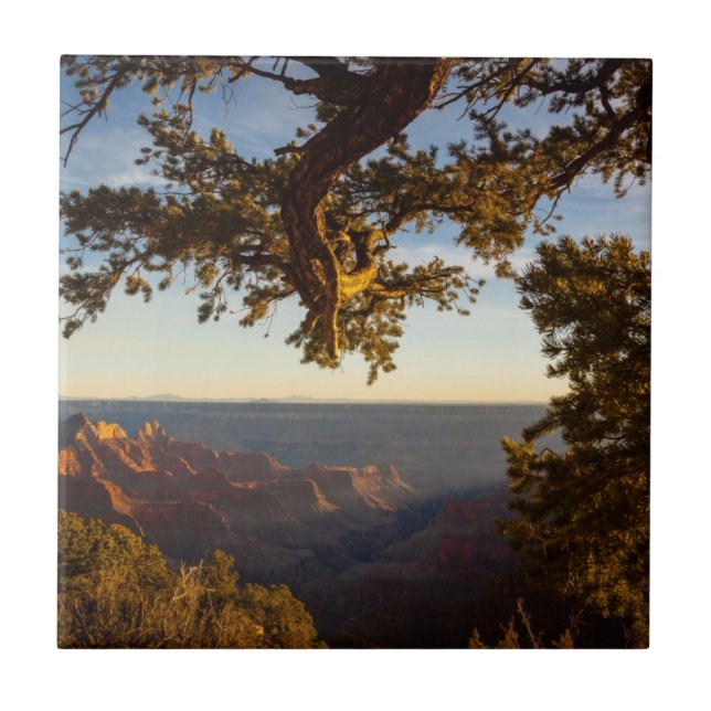 Carreau Coucher du soleil au-dessus de canyon grand (Devant)