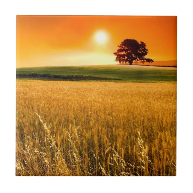 Carreau Coucher du soleil rouge sang (Devant)