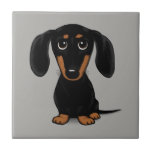 Carreau Coucou court haïré noir et tan Dachshund<br><div class="desc">Chien noir et blanc brun</div>