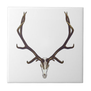 Carreau Couleur de crâne d'élans de Taureau