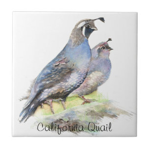 Carreau Couleur d'eau personnalisée California Quail birds