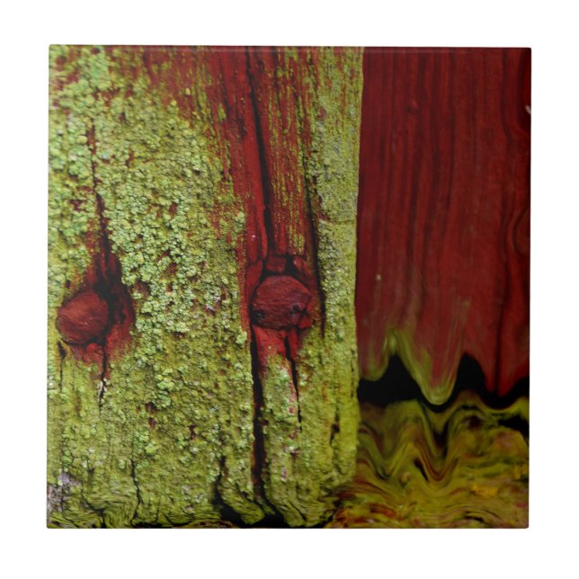 Carreau Couleur rouge Faucun suédois typique, très populai (Devant)