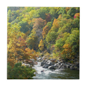Carreau Couleurs d'automne au parc d'État d'Ohiopyle