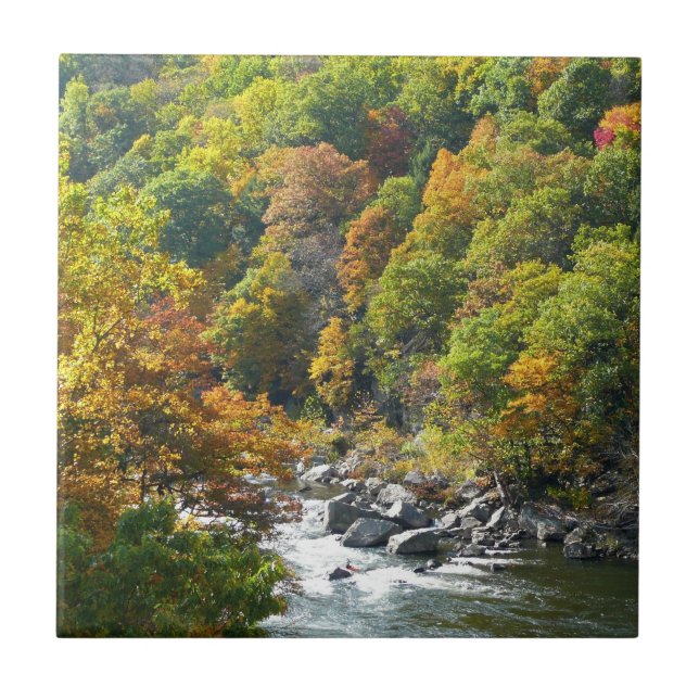 Carreau Couleurs d'automne au parc d'État d'Ohiopyle (Devant)