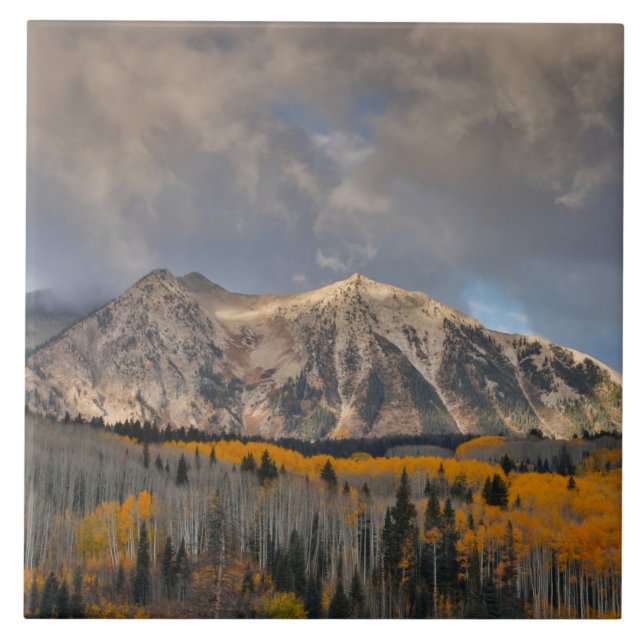 Carreau Couleurs d'automne des trembles, Keebler Pass (Devant)