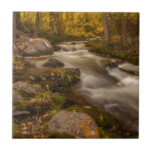 Carreau Couleurs d'automne sur Crestone Creek