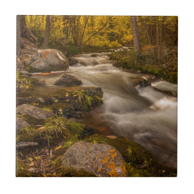 Carreau Couleurs d'automne sur Crestone Creek (Devant)