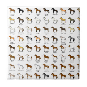 Carreau Couleurs de cheval