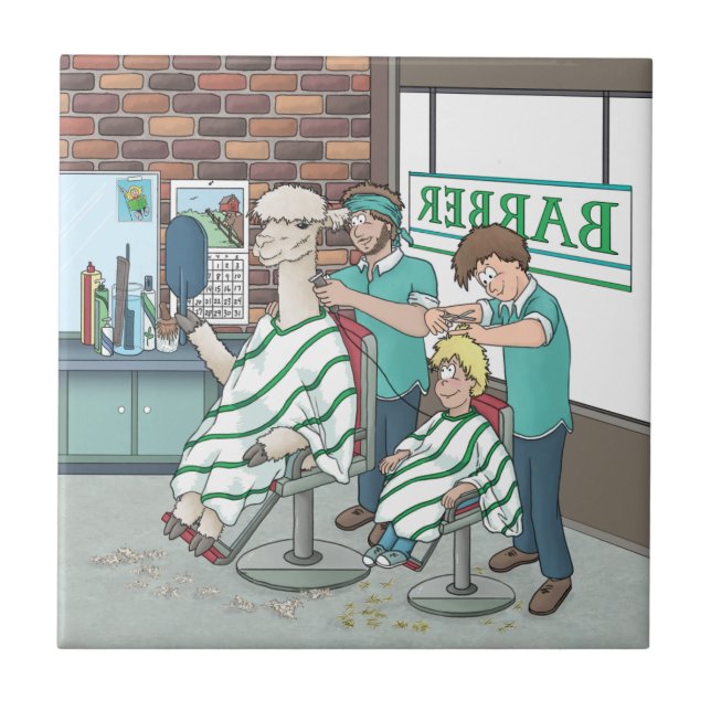 Carreau Coupe de cheveux d'alpaca  (Devant)