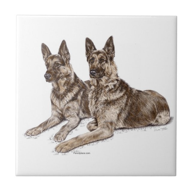 Carreau Couple de Chiens Berger Allemand (Devant)