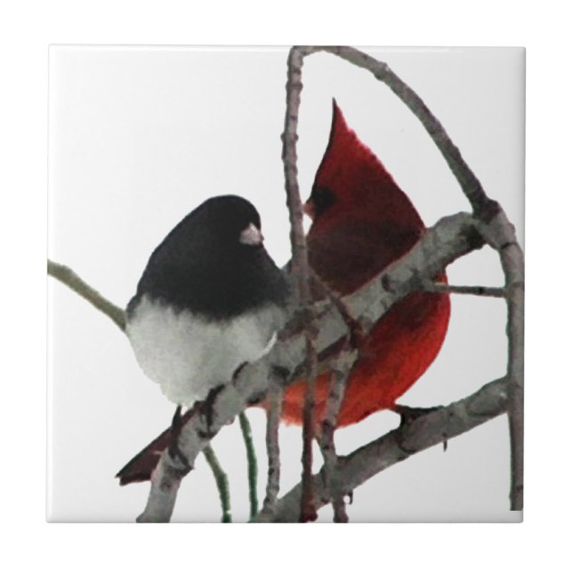 Carreau Couple insolite d'oiseaux amoureux (Devant)