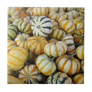 Carreau Courges d'automne orange et vertes pour la récolte