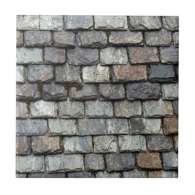 Carreau Couverture de toit avec des plats d'ardoise (Devant)