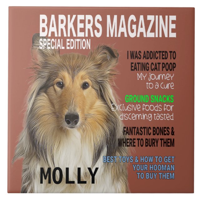 Carreau Couverture du magazine Collie Parody (Devant)